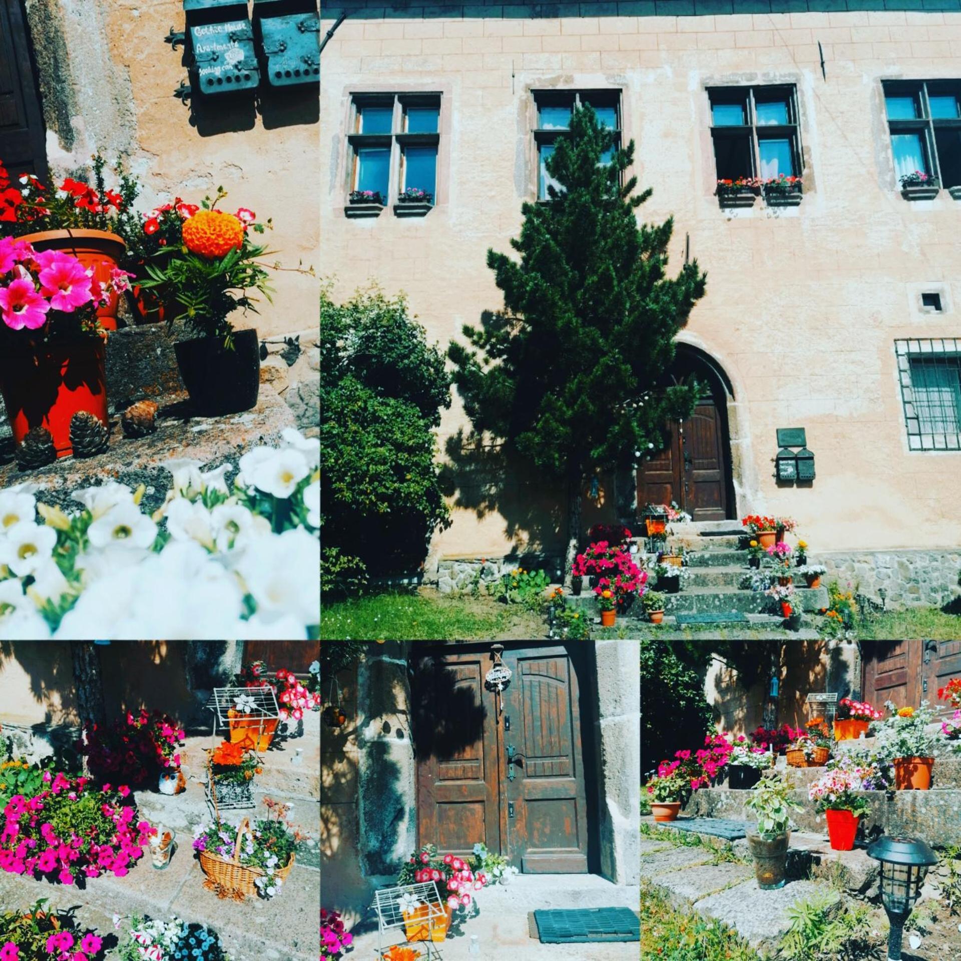 Gothic House Apartments Kremnica Buitenkant foto